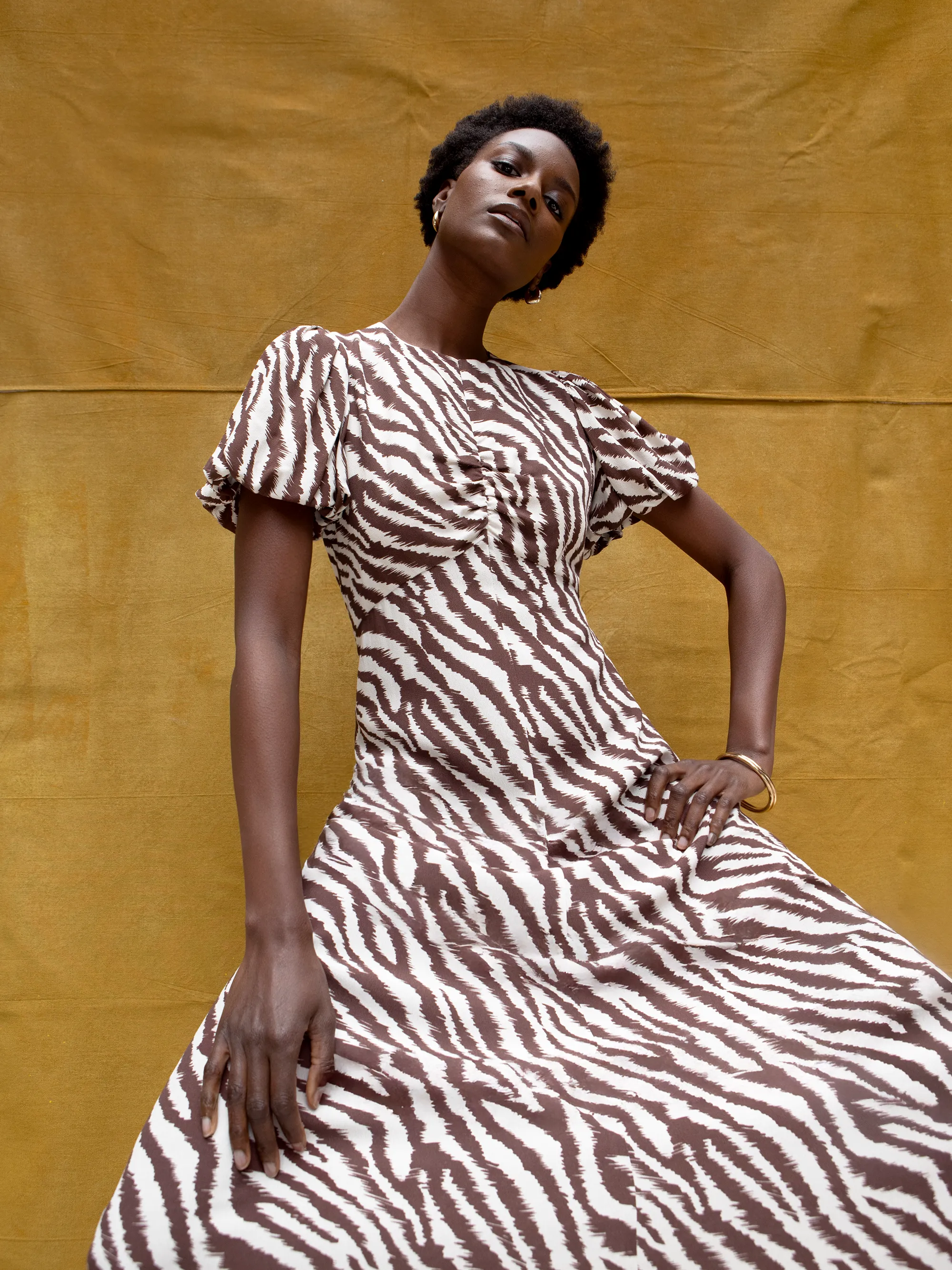 Brown Zebra Print Puff Sleeve Dress